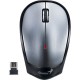 Genius NX-6500 Wireless, Metallic Gray 