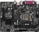 AsRock B85M-GL/BULK 